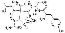 alanyl-phosphothreonyl-phosphotyrosyl-seryl-alanine