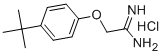 2-[4-(TERT-BUTYL)PHENOXY]ETHANIMIDAMIDE HYDROCHLORIDE