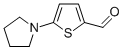 5-(1-PYRROLIDINYL)-2-THIOPHENECARBALDEHYDE