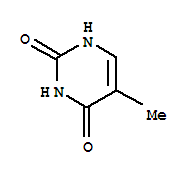 Thymine-t