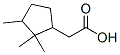 2,2,3-trimethylcyclopentaneacetic acid