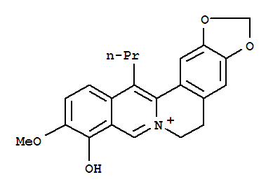 13-propylberberine