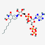 NICOTINAMIDE-ADENINE-DINUCLEOTIDE PHOSPHONATE DECANALDEHYDE