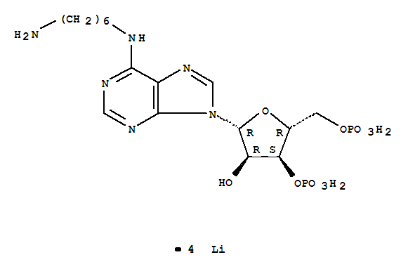 N6-(6-AMINOHEXYL)ADENOSINE 3,5-DIPHOSP HATE LITHI molecular structure