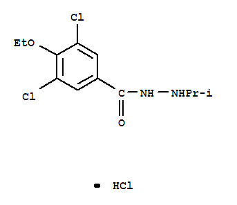3,5-dichloro-4-ethoxy-N'-(propan-2-yl)benzohydrazide hydrochloride (1:1) molecular structure