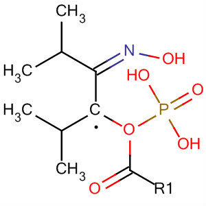 Phosphonic acid, [2-(hydroxyimino)ethyl]-, bis(1-methylethyl) ester, (Z)- molecular structure